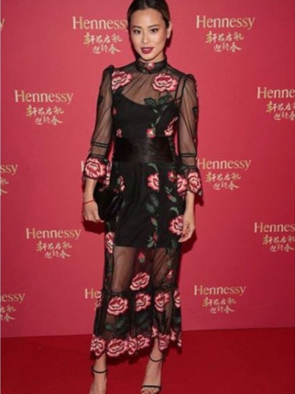 ABS Allen Schwartz Black Maxi Dress with Pink Rose Embroidery